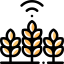 Wheat 图标 64x64