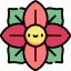Poinsettia アイコン 64x64