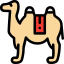 Camel icon 64x64