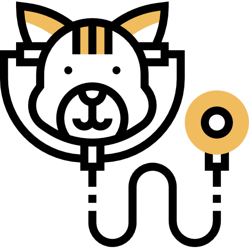 Checkup icon