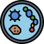 Petri dish 图标 64x64