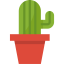 Cactus icon 64x64