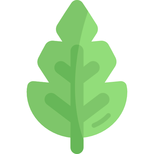 Leaf icon