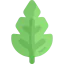 Leaf アイコン 64x64