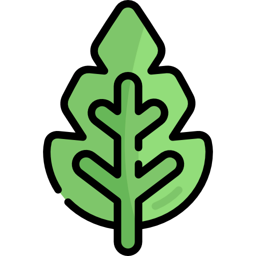 Leaf icon