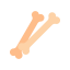 Bones icon 64x64