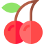Cherry 图标 64x64
