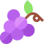 Grapes 图标 64x64