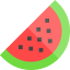 Watermelon biểu tượng 64x64