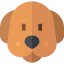 Dog icon 64x64