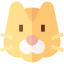 Cat icon 64x64