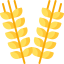 Wheat icon 64x64