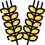 Wheat icon 64x64