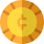 Coin icon 64x64
