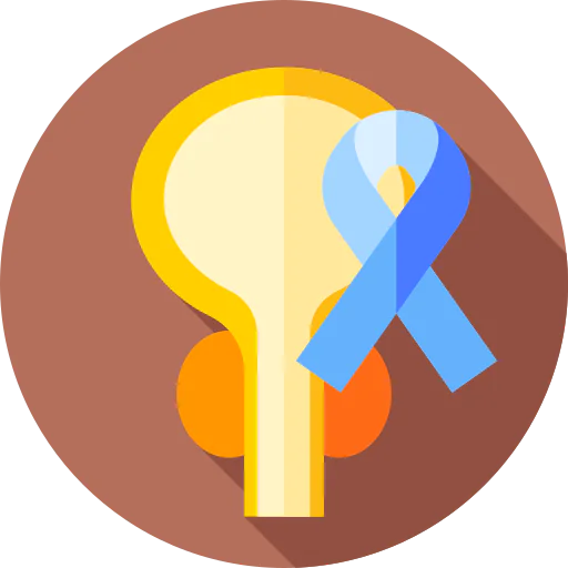 Prostate icon