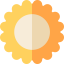 Sun icon 64x64