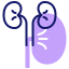 Kidneys icon 64x64