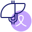Liver organ icon 64x64