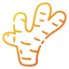 Ginger 图标 64x64