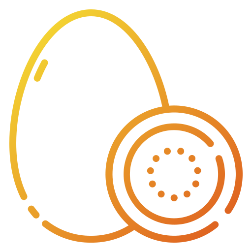 Kiwi icon