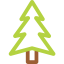 Pine icon 64x64