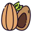 Almond 图标 64x64