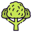 Broccoli Symbol 64x64