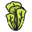 Lettuce Symbol 64x64