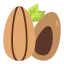 Almond Symbol 64x64