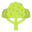 Broccoli Ikona 64x64