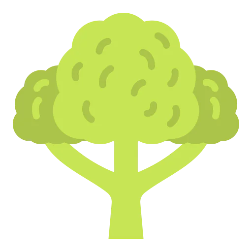 Broccoli icon
