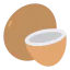 Coconut 图标 64x64