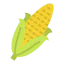 Corn Ikona 64x64