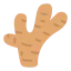 Ginger Ikona 64x64