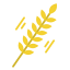 Grain Ikona 64x64
