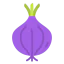 Onion Ikona 64x64