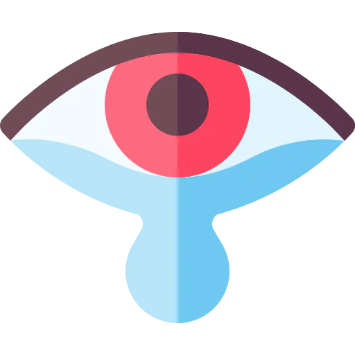 Conjunctivitis icon