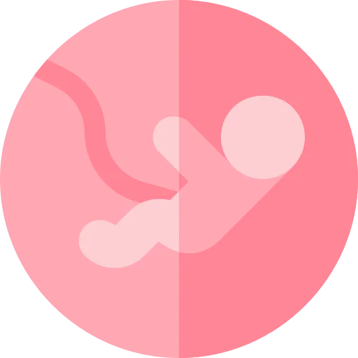 Pregnant icon