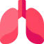 Lungs 图标 64x64