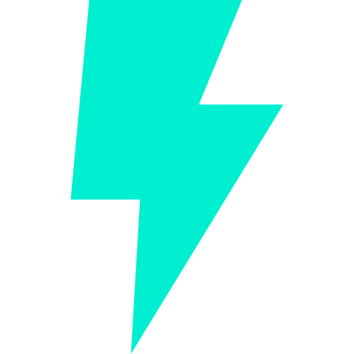 Flash 图标