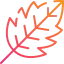 Leaf ícone 64x64