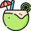 Coconut icon 64x64