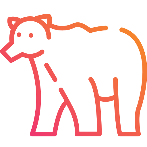 Bear icon