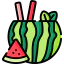 Watermelon icon 64x64