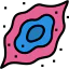 Nebula アイコン 64x64
