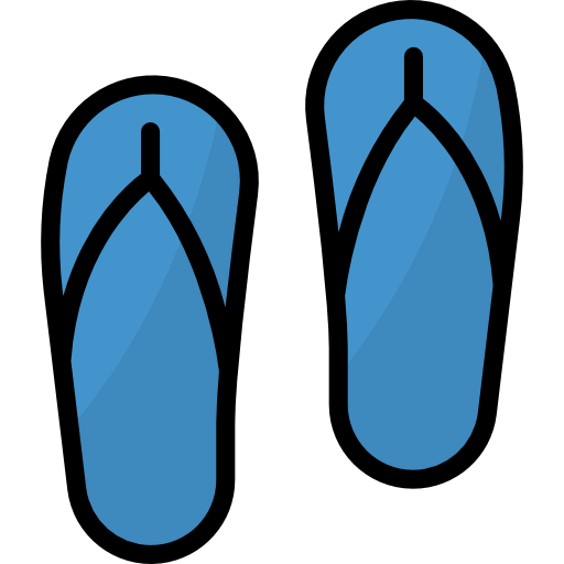 Flip flops icon