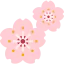 Sakura icon 64x64