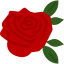 Rose icon 64x64