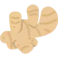 Ginger icon 64x64