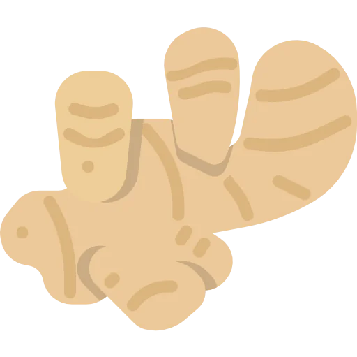 Ginger icon
